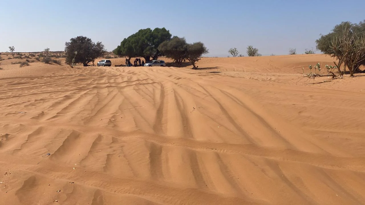 Viajeros descubriendo la costa atlántica cerca de Agadir con Agharass Tours