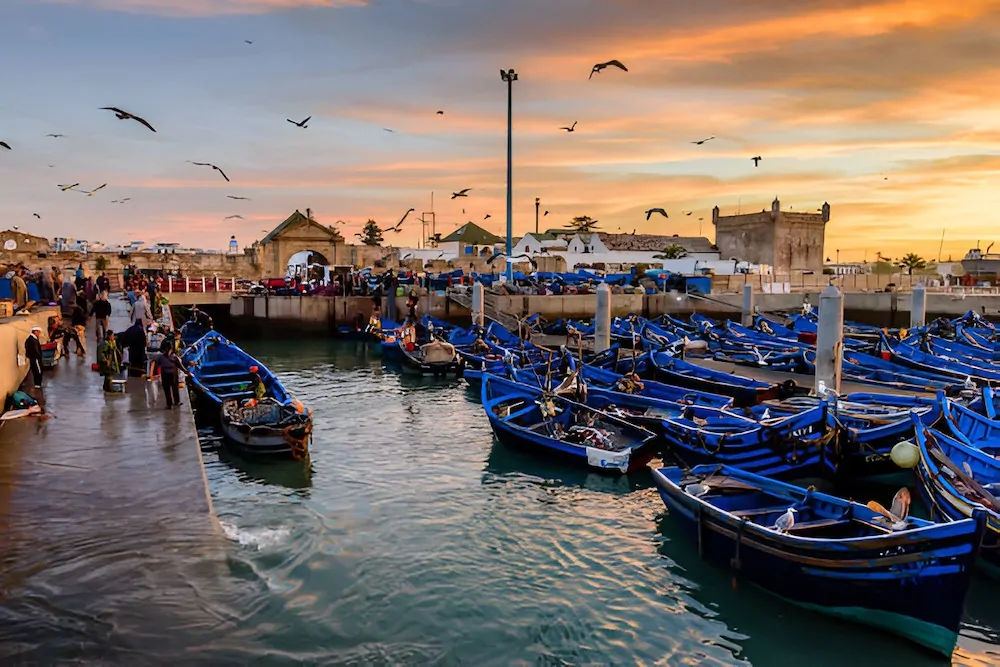 Day-Trip-to-Essaouira-from-Marrakech.webp