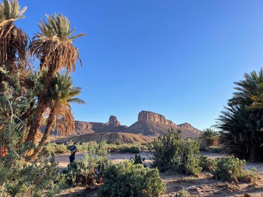 agadir-to-sahara-desert-tour.webp