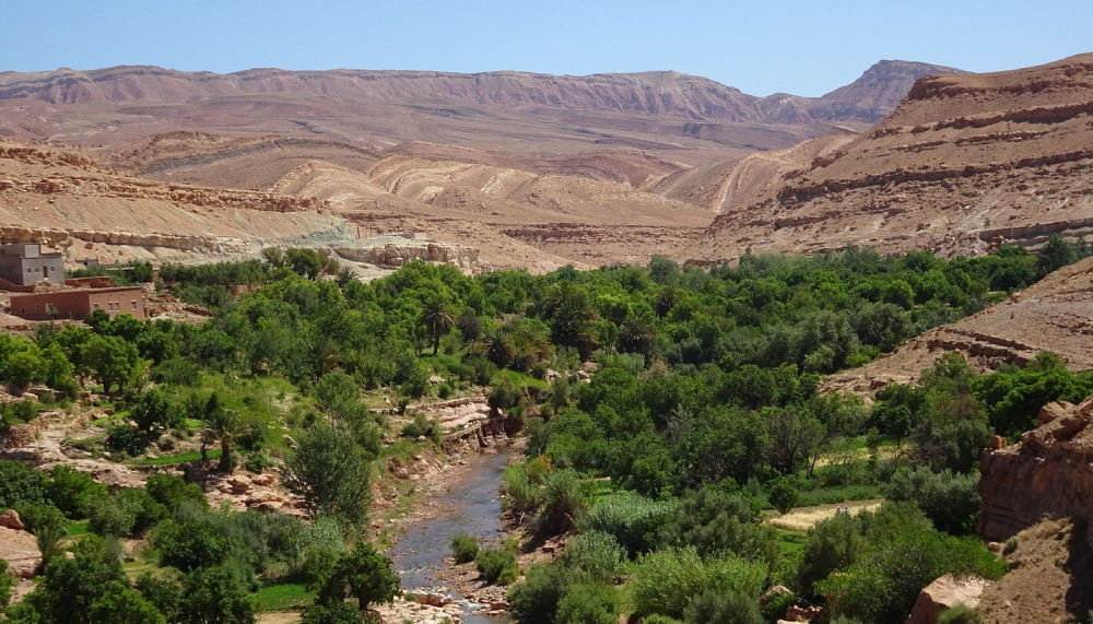 Atlas and Kasbahs Tour 3 Days from Marrakech to Aït Ben Haddou.webp