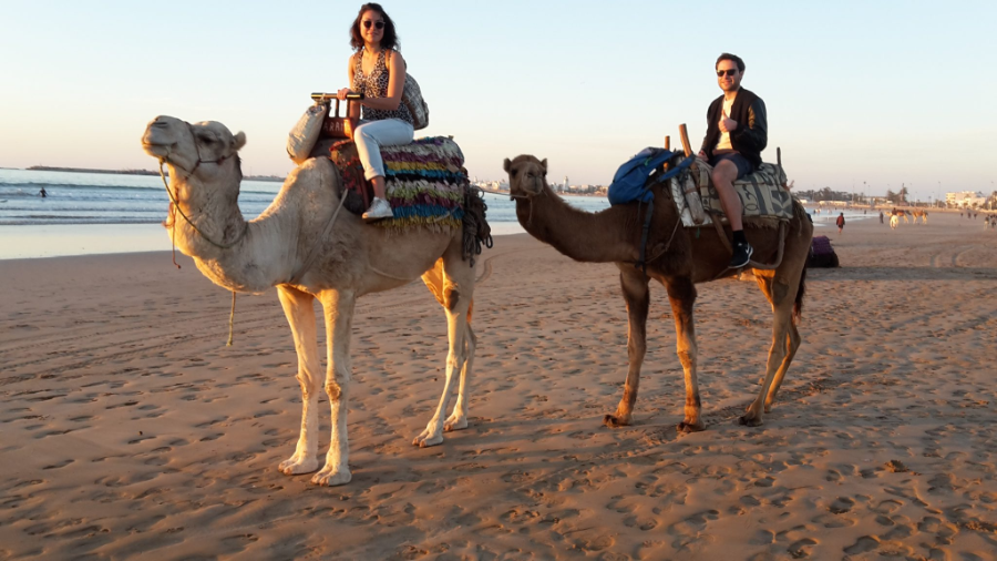 Camel-Ride-3-1548258200.webp