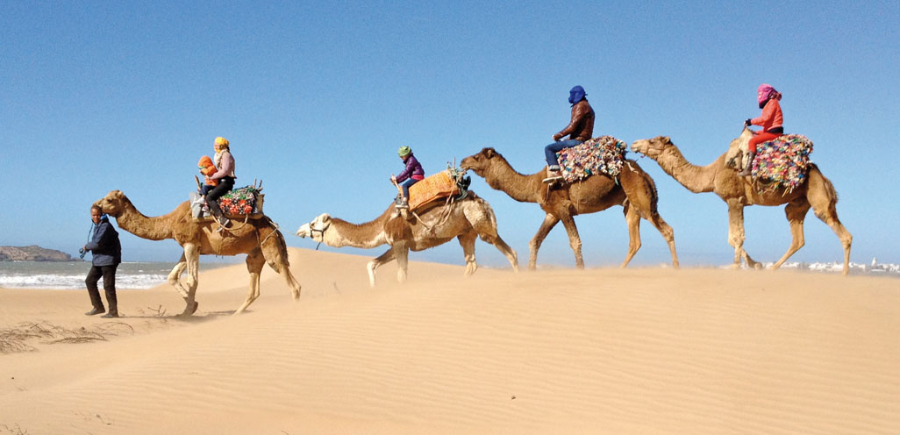 Camel-Ride--5-1548258620.webp