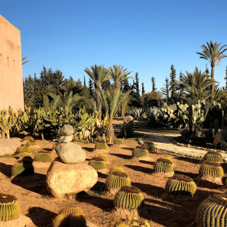 claudio-bravo-museum-palace.webp