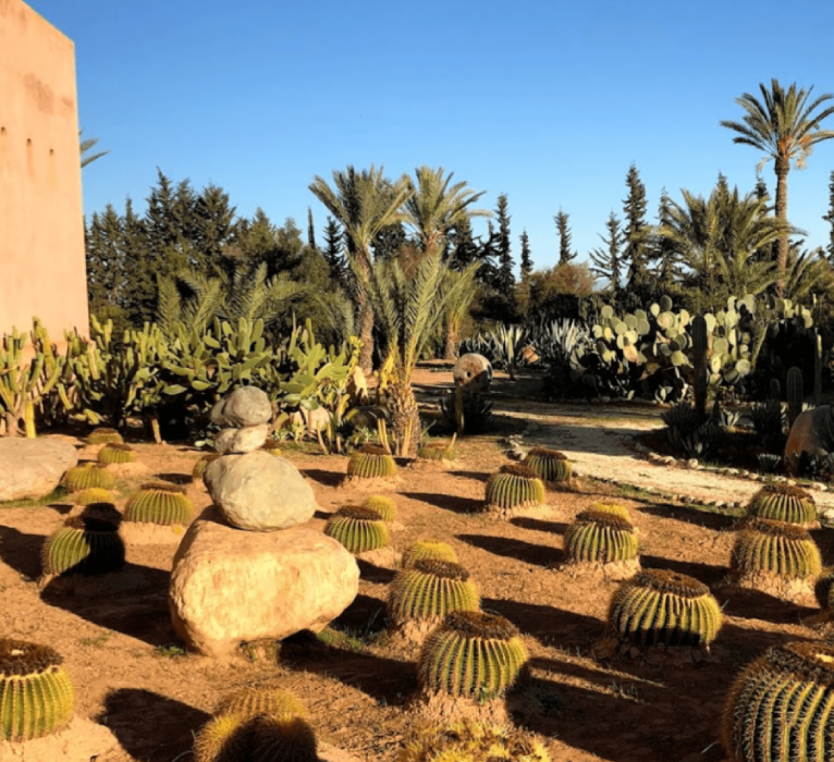 Halbtagestour ab Taroudant