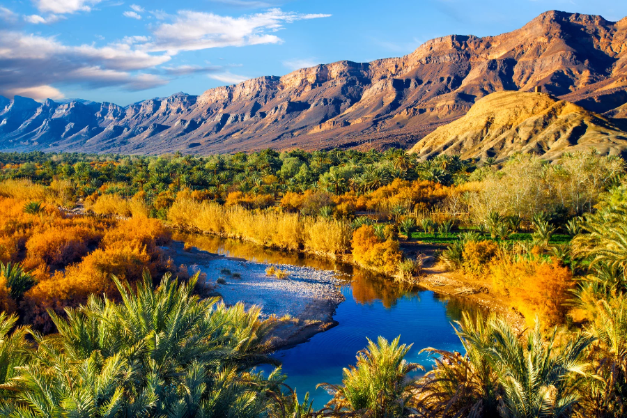 draa-valley-fes-to-marrakech-4-days-desert-tour.webp