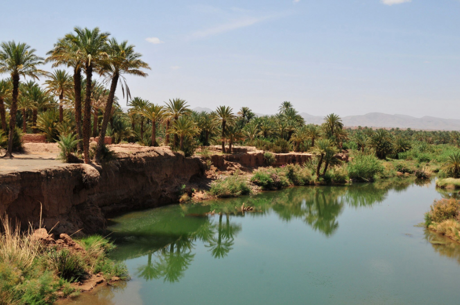 draa-valley-from-casablanca-to-the-merzouga-dunes-5-days.webp