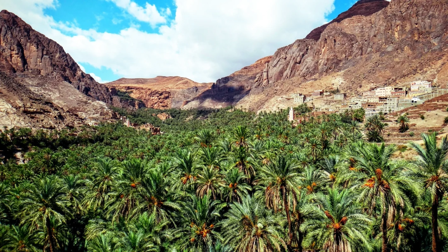Draa Valley.webp