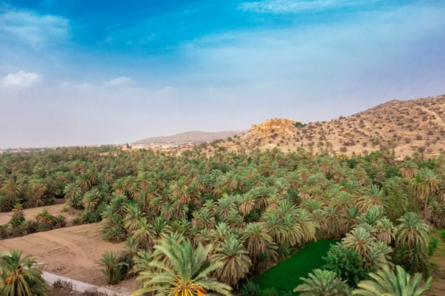 full-day-taroudant-tiout-oasis-journey-from-taghazout.webp
