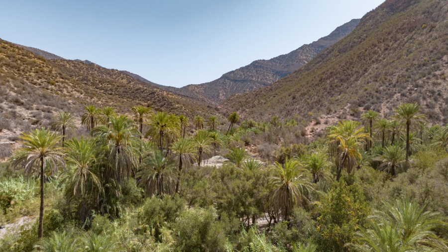 half-day-trip-to-paradise-valley.webp
