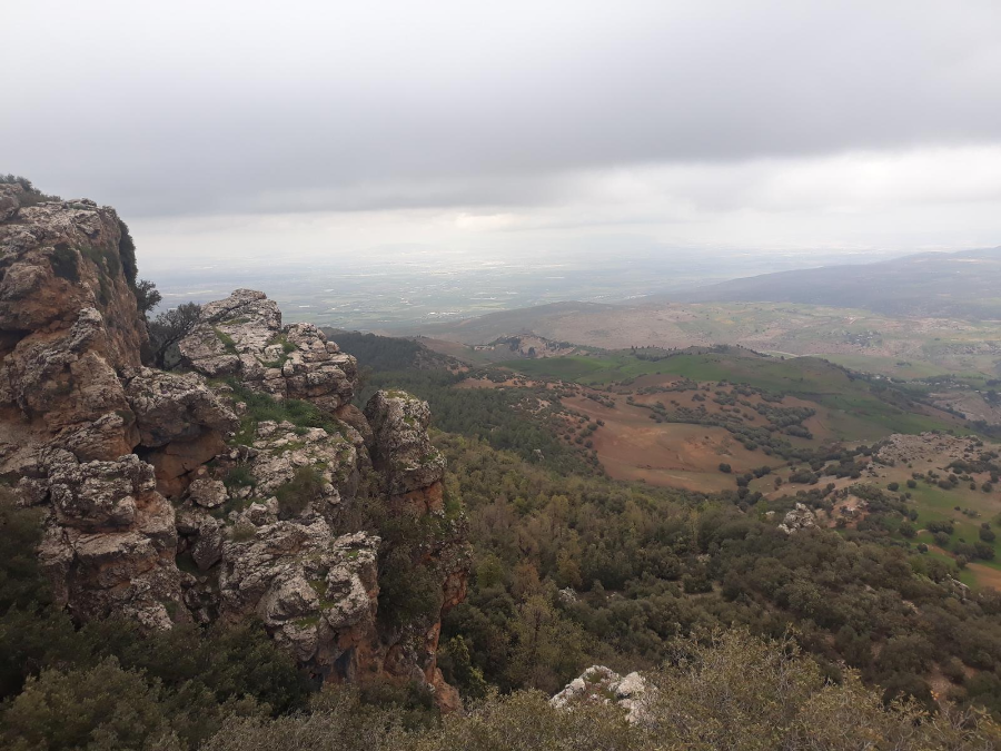 Imouzzer du Kandar mountain.webp