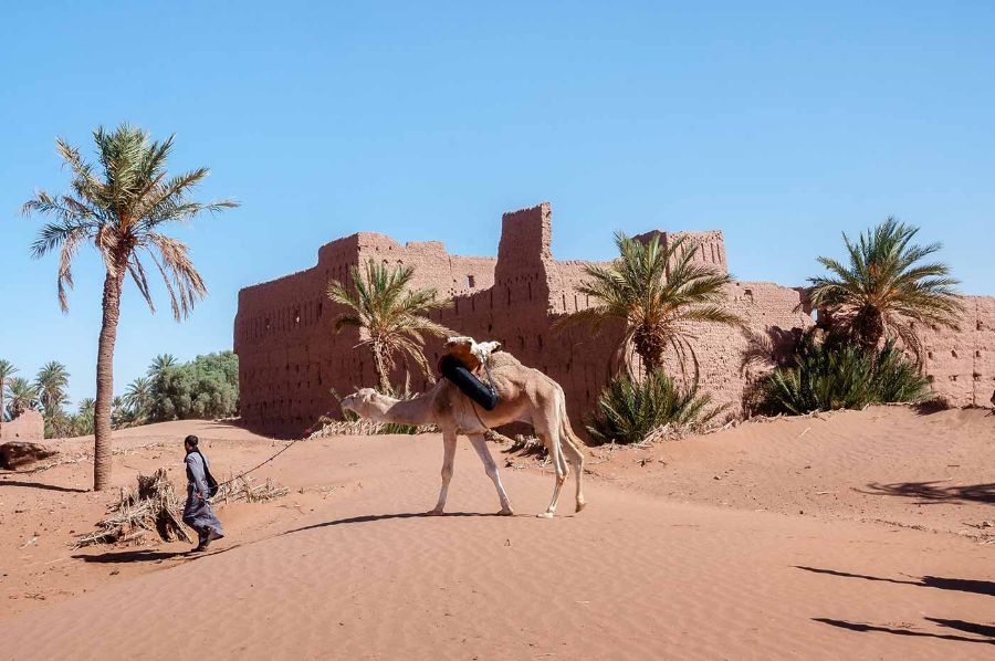 Mhamid-El-Ghizlane.webp
