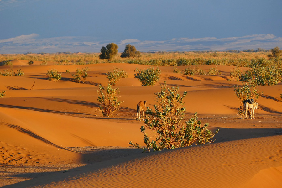 mhamid-fes-to-marrakech-4-days-desert-trip.webp