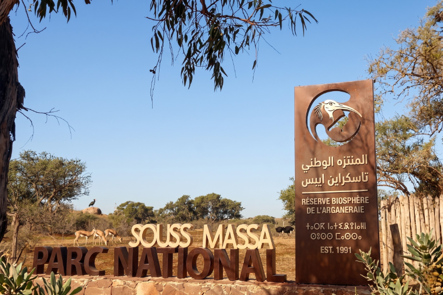 small-4x4-excursion-from-agadir.webp