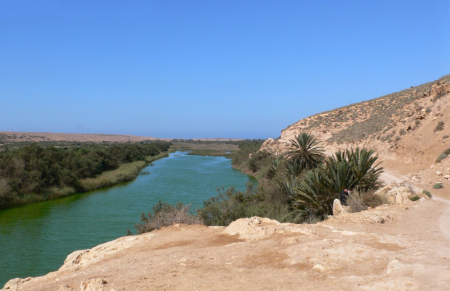 Excursión de medio día al Parque Nacional de Souss-Massa desde Taghazout