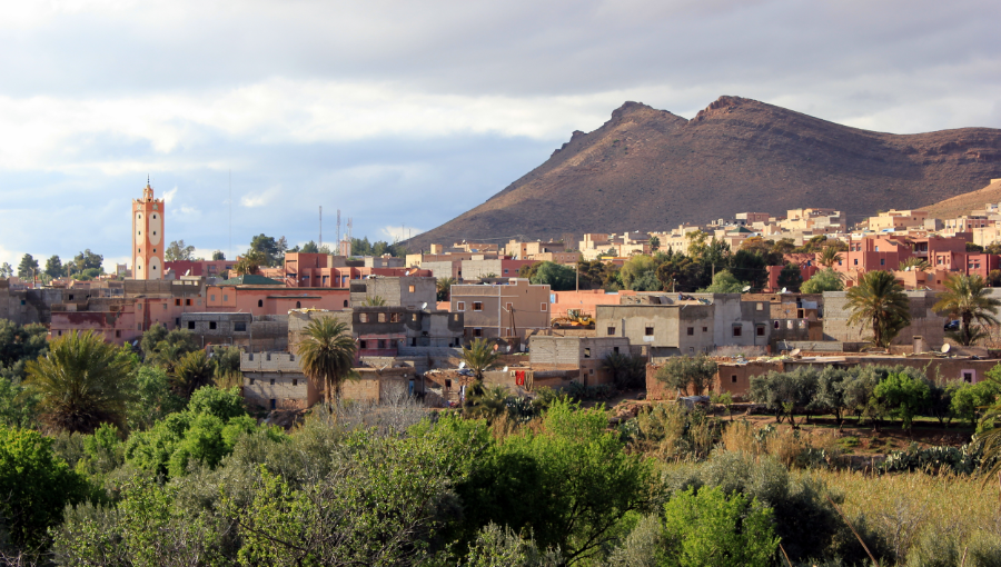 taliouine-marocco-tour - Copy.webp