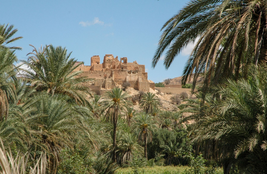 taroudant-and-tiout-oasis-from-agadir-day-trip.webp