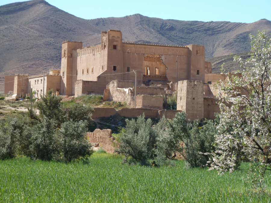 taroudant-taliouine-the-saffron-route-discover-moroccos-red-gold.webp