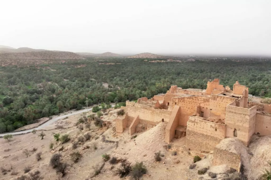 taroudant-tiout-oasis-excursion-from-taghazout-culture-nature.webp