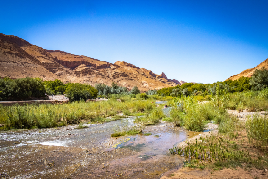 tazzarine-fes-to-marrakech-4-days-desert-tour.webp