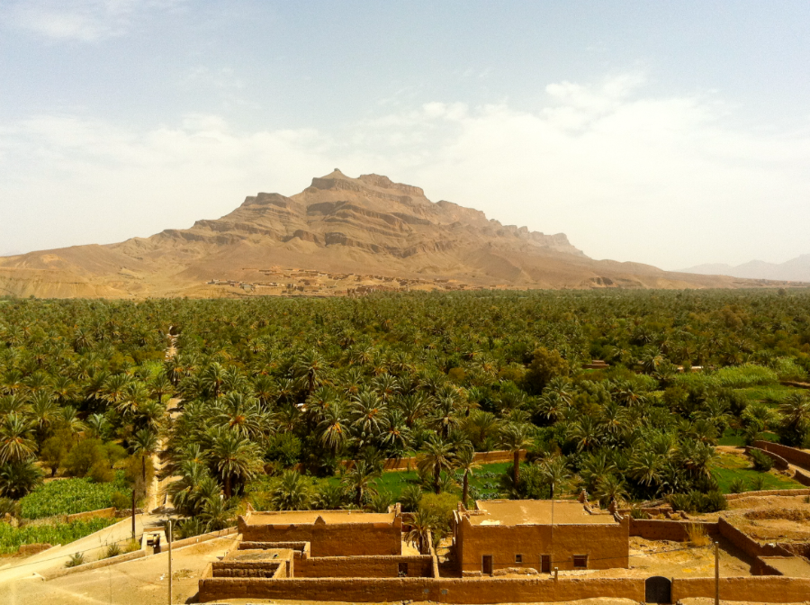 the Draa Valley.webp