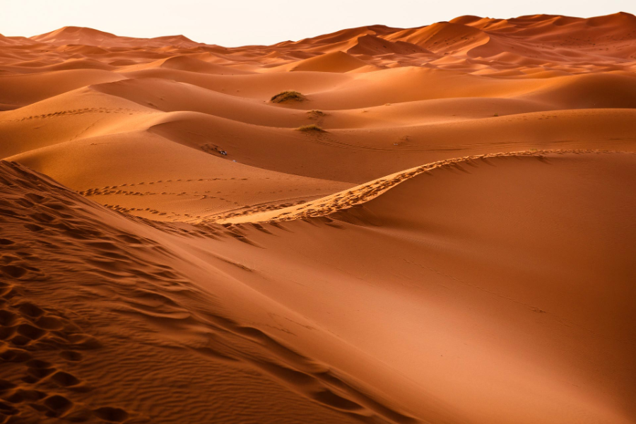 tour-ouarzazate-to-merzouga.webp