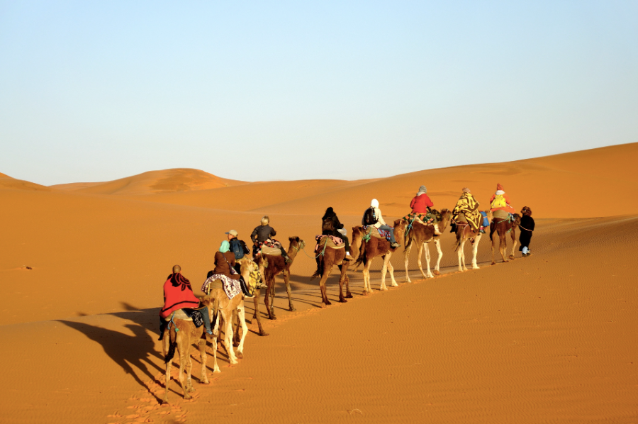 ùerzouga-camel-ride.webp