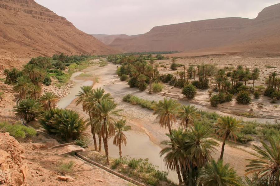 ziz-valley-fes-to-marrakech-4-days-desert-tour.webp